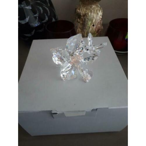 Diverse Swarovski beeldjes