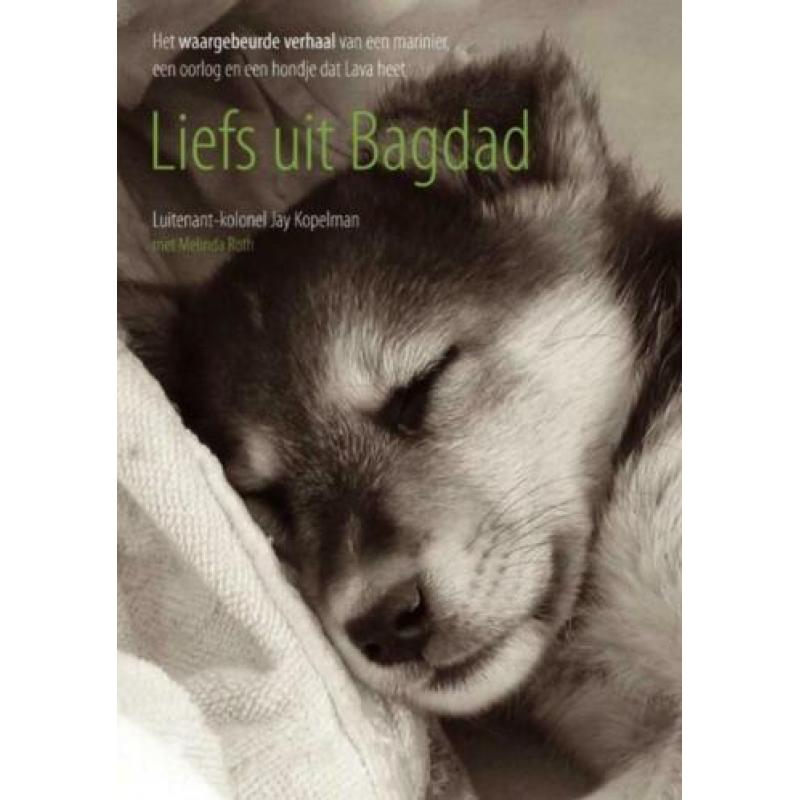 waargebeurd verhaal hond Liefs uit Bagdad Jay Kopelman