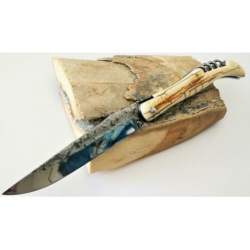 Nw Laguiole Mes, Zakmes DAVID DAUVILLAIRE Ivoir Mammoet 22cm
