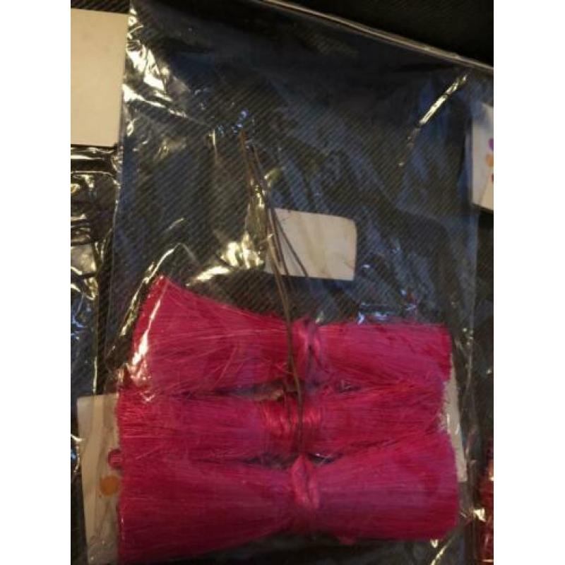 Leuke Planten stekers 2 plastic Sinaasappel Hobby