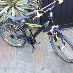 22inchstoere batavus snake 3versnellingen mooi??