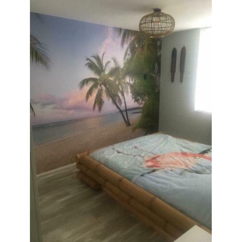 2 persoons bamboe bed incl boxspring & matras