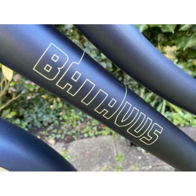 Batavus Amigo / CNCTD 24 inch meisjesfiets transportfiets