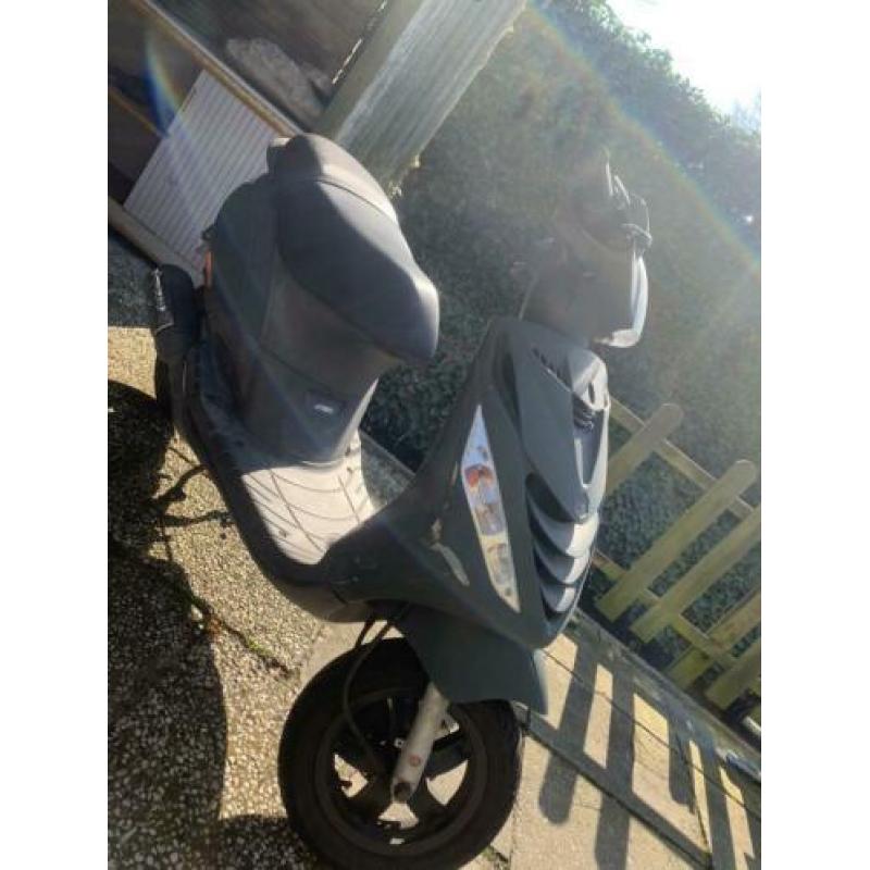 Piaggio zip 2t brom