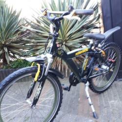 22inchstoere batavus snake 3versnellingen mooi??