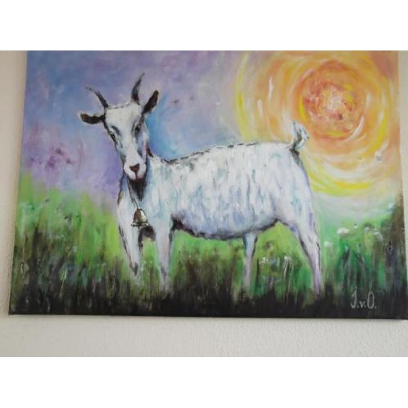 Leuk schilderij Het Bokje 50x70cm / geit, bok, dieren/ nieuw