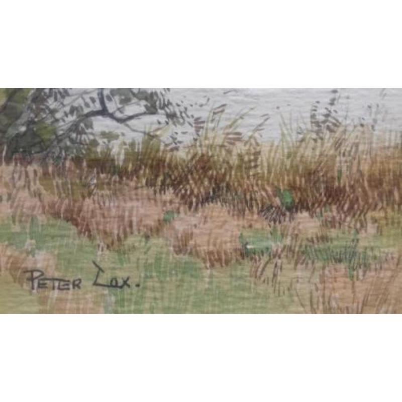 Cox P. Peter landschap schilderij aquarel