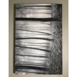 C-print, plexprint, lambda print, artprint