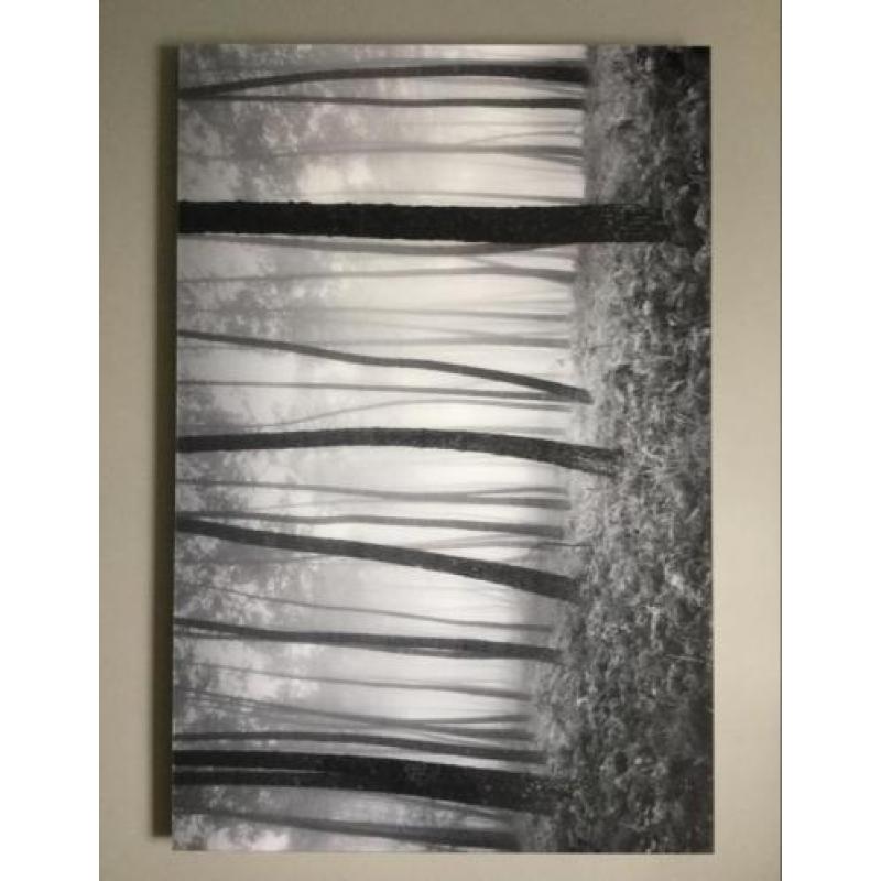 C-print, plexprint, lambda print, artprint