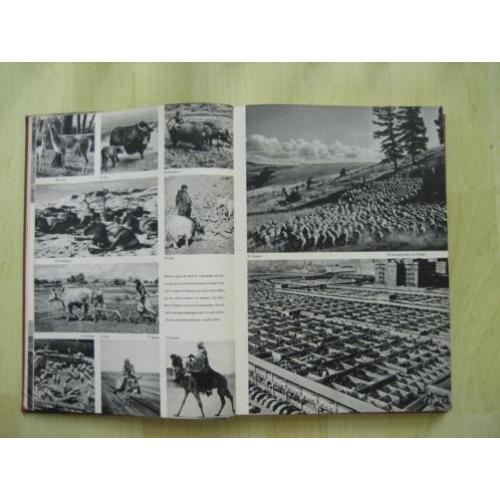 De wereld in woord, kaart en 167 foto,s in koperdiepdruk