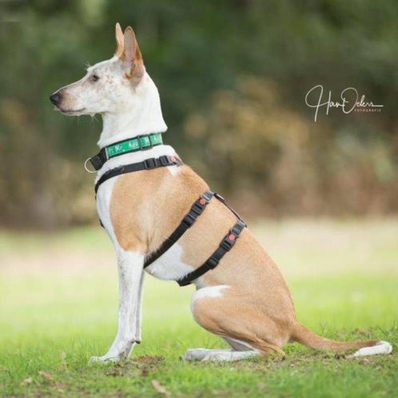 Flor, 1 jaar