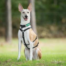 Flor, 1 jaar