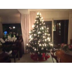 Kerstboom kunst inclusief zilveren kerstversiering