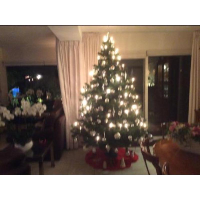 Kerstboom kunst inclusief zilveren kerstversiering