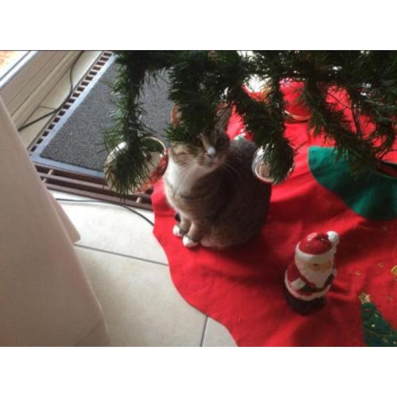 Kerstboom kunst inclusief zilveren kerstversiering